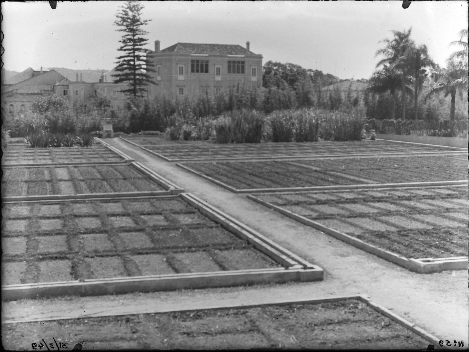 Aspeto do campo de culturas após arranjo das terras. Foto: © Abel Pereira da Silva, 1949. IICT Photography Collection, INV. ULISBOA-IICT-JBT-25968