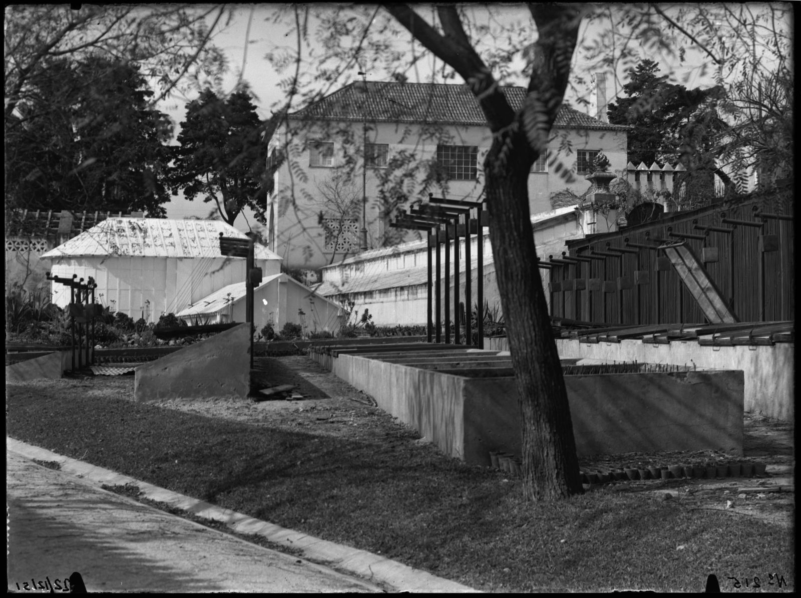 Estufas e plantas. Foto: © Abel Pereira da Silva, 1950. IICT Photography Collection, INV. ULISBOA-IICT-JBT-26117