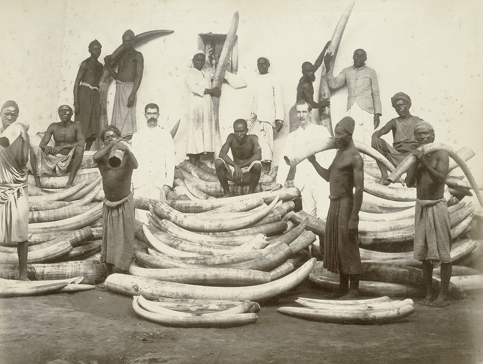 Elfenbeinhandel in Ostafrika um 1885. Foto: Wikipedia gemeinfrei.